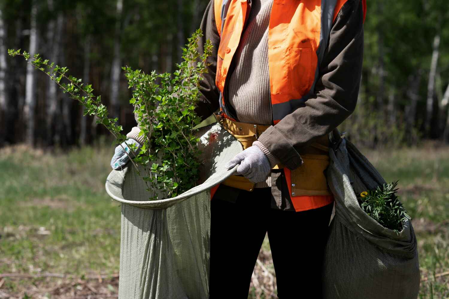 Best Stump Grinding Near Me  in Alvarado, TX